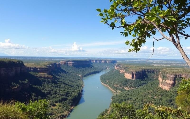 Gestion Financière : Services Bancaires Expatriés Paraguay