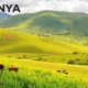 Guide complet pour obtenir un passeport du pays au Kenya