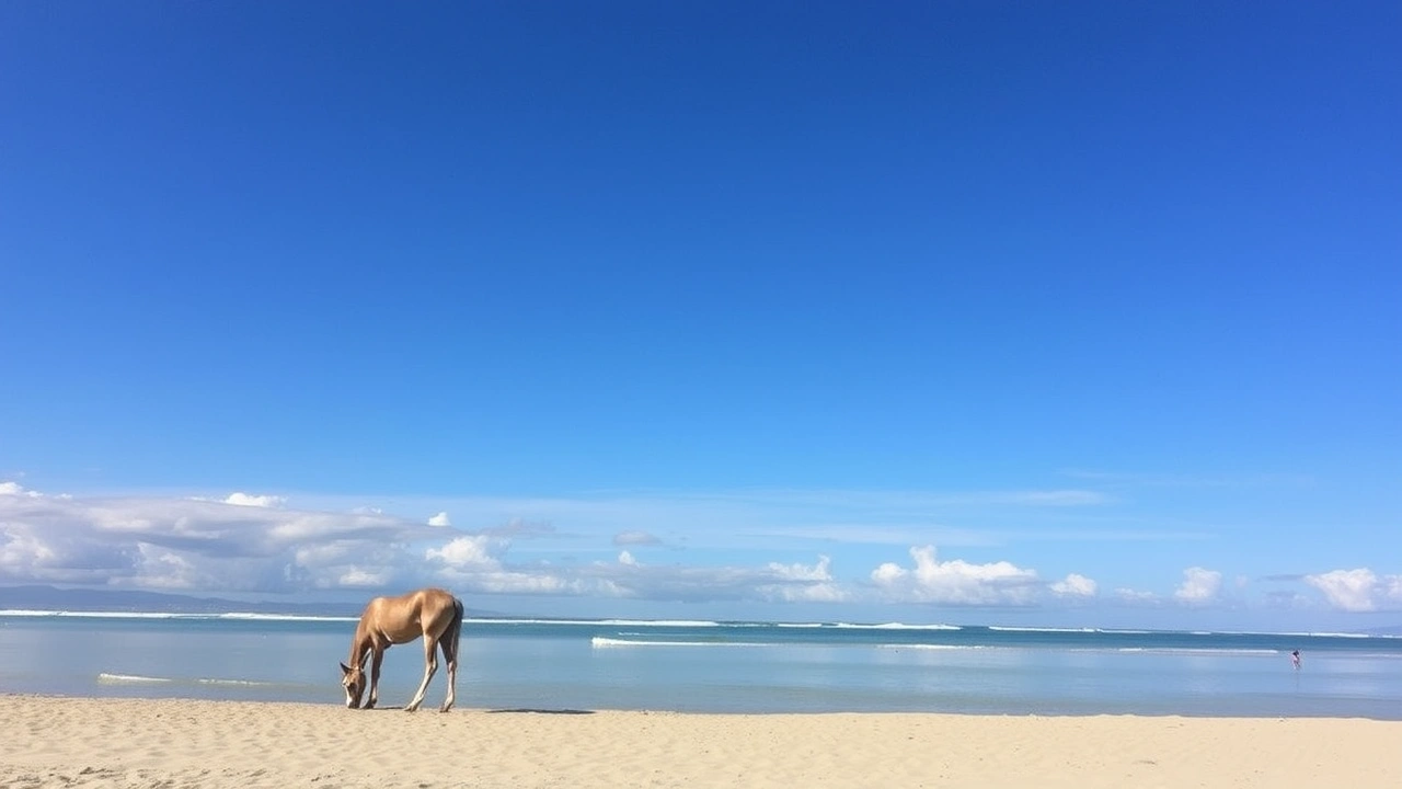Les démarches administratives pour vivre en Uruguay : mode d’emploi complet