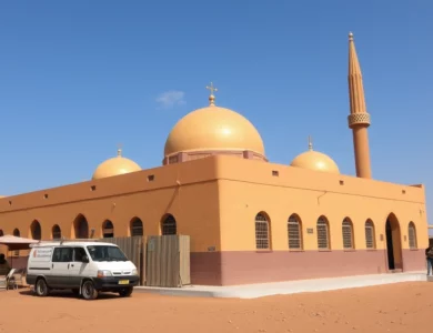 S’installer à Djibouti en tant qu’expatrié : le guide complet