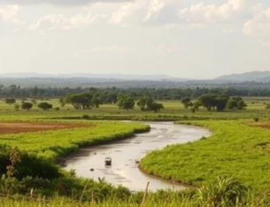 S&rsquo;installer au Malawi tant qu&rsquo;expatrié : le guide complet pour préparer sa nouvelle vie