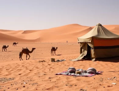 S’installer au Sahara occidental en tant qu’expatrié : guide pratique complet