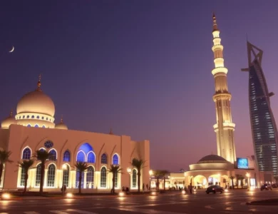 S’installer aux Émirats Arabes Unis tant qu’expatrié : le guide complet