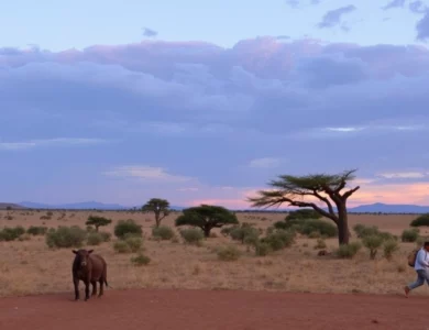 S’installer en tant qu’expatrié à Eswatini : le guide complet