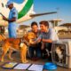 Expatriation avec des animaux de compagnie en Gambie : démarches et conseils pratiques