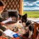 Expatriation avec des animaux de compagnie en Mongolie : démarches, risques et conseils pratiques