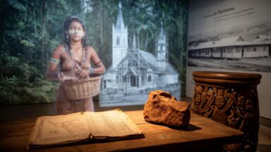 Histoire du pays au Surinam : des forêts amérindiennes à la ville de bois de Paramaribo