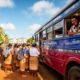 Les transports en commun au Tonga : guide pratique