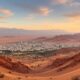 Expatriation en Algérie avec un animal de compagnie : démarches et conseils pratiques